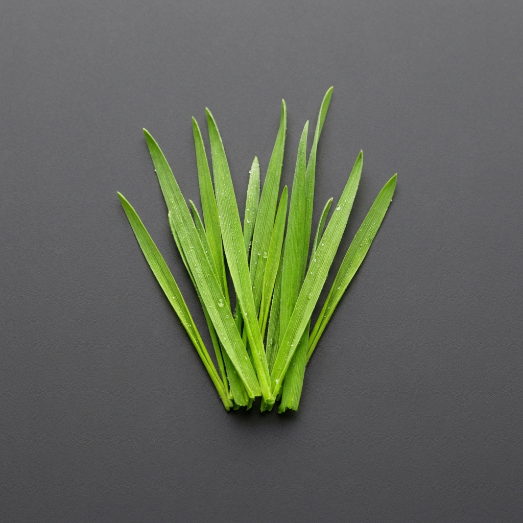 Frisches Gras / Gurke